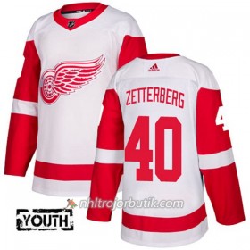 Barn Ishockey Detroit Red Wings Tröja Henrik Zetterberg 40 Adidas 2017-2018 Vit Authentic